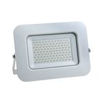 LED PROJECTOR SMD 100W PREMIUM LINE WARM WHITE
