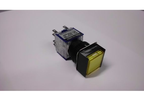 PUSH BUTTON WITH INDICATION LIGHT Φ16 PERMANENT SQUARE TYPE 24V